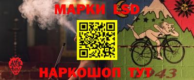 молекула духа Краснознаменск