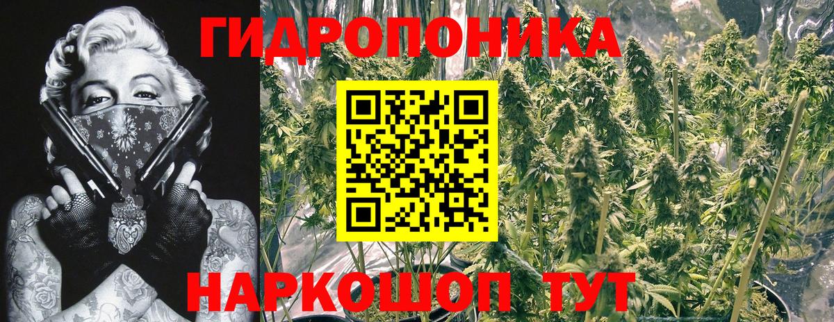 Марихуана гибрид  Марихуана семена  Чита  Вход с VPN  МАРИХУАНА AK-47 